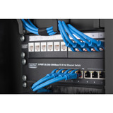 Digitus Pannello di distribuzione 10" per armadi di rete e server, Instradamento dei cavi Nero