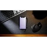 Intenso Powerbank F20000 Viola viola