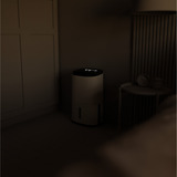 Meaco Dry Arete Two 10L Deumidificatore a compressore e purificatore d'aria bianco/Nero