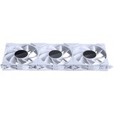 Phanteks PH-F120M25R_G2_DWT01_3P, Ventola bianco