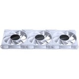 Phanteks PH-F120M25R_G2_DWT01_3P, Ventola bianco