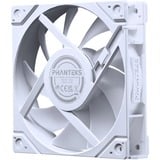 Phanteks PH-F120M25R_G2_DWT01_3P, Ventola bianco