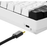 Sharkoon SGK50 S4 tastiera USB QWERTY Italiano Bianco bianco, 60%, USB, QWERTY, LED RGB, Bianco