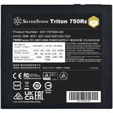 SilverStone SST-TR750R-GM, Alimentatore PC Nero