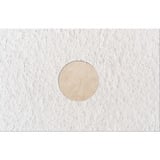 fischer 570495, Mastice bianco