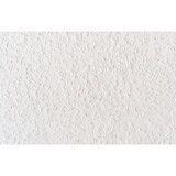fischer 570495, Mastice bianco