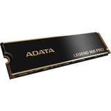 ADATA LEGEND 900 Pro 1 TB Nero/Oro