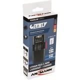 Ansmann Powerline Vario X USB, Caricabatterie Nero, Polimeri di litio (LiPo), Ioni di Litio, Nichel-Metallo Idruro (NiMH), Stilo AA, Mini Stilo AAA