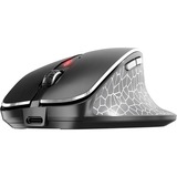 CHERRY MW 8C ERGO mouse Mano destra RF senza fili + Bluetooth Ottico 3200 DPI Nero, Mano destra, Ottico, RF senza fili + Bluetooth, 3200 DPI, Nero, Grigio