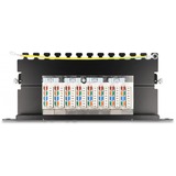 DeLOCK 66870 pezzo di pannello 0.5U, Patch Panel Nero, Nero, Metallo, 0.5U, 254 mm, 100 mm, 22 mm