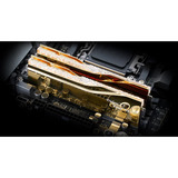 G.Skill DIMM 32 GB DDR5-6000 (2x 16 GB) Dual-Kit, Memoria oro