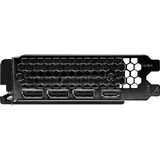 Gainward NE7506TS19T1-GB2061T, Scheda grafica 