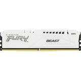Kingston FURY KF564C32BWE-32, Memoria bianco