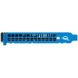 OWC Accelsior 8M2 16 TB, Disco a stato solido Nero/Blu