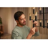 Philips Hue 929003145202, Lampada a LED 