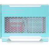 Thermaltake TR100, Chassis Tower Menta/Bacca