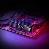 ADATA DIMM 32 GB DDR5-6000 (2x 16 GB) Kit duale, Memoria Nero