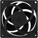 ARCTIC P8 PWM PST Case per computer Ventilatore 8 cm Nero, Ventola Nero, Ventilatore, 8 cm, 200 Giri/min, 3000 Giri/min, 0,3 son, 40,3 m³/h
