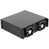 DeLOCK 47235 pannello drive bay 13,3 cm (5.25") Vassoio per unità di memorizzazione Nero, Telaio di montaggio Nero, 13,3 cm (5.25"), Vassoio per unità di memorizzazione, NVMe, 2.5", Nero, Alluminio