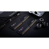 G.Skill F5-5200J4040A32GX2-FX5 Nero