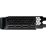 Gainward NE7506TT19P1-GB2062B, Scheda grafica 