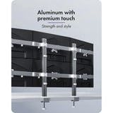 ICY BOX Damond Stand 666, Base per monitor argento