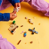 LEGO 21251, Giochi di costruzione 