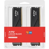 ADATA AX5U6000C3416G-DTLABBK Nero