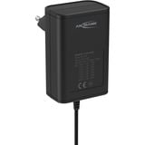 Ansmann 1201-0023 adattatore e invertitore Interno 12 W Nero, Alimentazione elettrica Nero, Universale, Interno, 100 - 240 V, 12 W, AC-DC, Nero