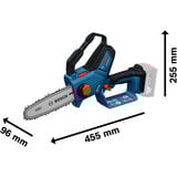 Bosch GKE 18V-20 Professional, 06008D7100, Sega a catena blu