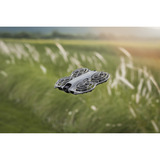 DJI Neo 2, Drone grigio