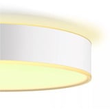 Philips Hue White Ambiance Devere Lampada da soffitto M, Luce LED argento
