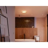 Philips Hue White Ambiance Devere Lampada da soffitto M, Luce LED argento