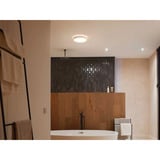 Philips Hue White Ambiance Devere Lampada da soffitto M, Luce LED argento