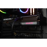 ALTERNATE AGP-WINDOW-AMD-003 Nero/trasparente