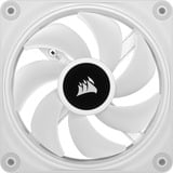 Corsair iCUE LINK QX120 RGB ventola PWM da 120 mm bianco