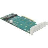 DeLOCK 89045 scheda di interfaccia e adattatore Interno M.2, Controllore PCIe, M.2, A basso profilo, PCIe 4.0, 5 - 50 °C, -25 - 70 °C