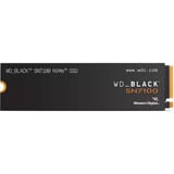 WD WDS100T4X0E, Disco a stato solido 