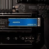 ADATA LEGEND 700 1 TB, Disco a stato solido blu/Oro