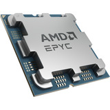 AMD 100-000001764, Processore Vassoio