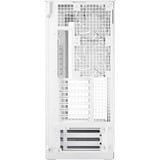 ARCTIC ACPCC00014A bianco