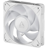 ARCTIC Freezer P12 Pro A-RGB (White) Case per computer Ventilatore 12 cm Bianco 3 pz, Ventola bianco, Ventilatore, 12 cm, 131 m³/h, Bianco
