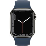 Apple Smartwatch grafite/blu scuro
