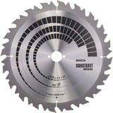 Bosch 2 608 640 701 lama circolare 31,5 cm 1 pezzo(i), Lama per sega Legno per costruzione, 31,5 cm, 3 cm, 2,2 mm, 3,2 mm, ATB (Angolo smussato superiore alternato)