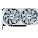MSI V809-4299R, Scheda grafica 