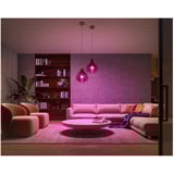 Philips Hue White & Color Ambiance Starter-Set: E27 lampada intelligente A60 confezione doppia, Lampada a LED 