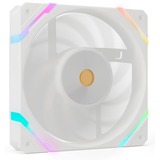 Valkyrie VK-FANX12RW, Ventola bianco