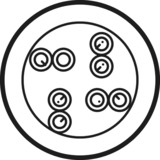 goobay Cavo di rete Cat.6, U/UTP bianco