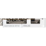 ASUS Dual -RTX5060-O8G-WHITE NVIDIA GeForce RTX 5060 8 GB GDDR7, Scheda grafica bianco, GeForce RTX 5060, 8 GB, GDDR7, 128 bit, 7680 x 4320 Pixel, PCI Express 5.0