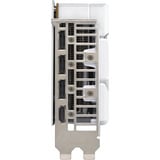 ASUS Dual -RTX5060-O8G-WHITE NVIDIA GeForce RTX 5060 8 GB GDDR7, Scheda grafica bianco, GeForce RTX 5060, 8 GB, GDDR7, 128 bit, 7680 x 4320 Pixel, PCI Express 5.0
